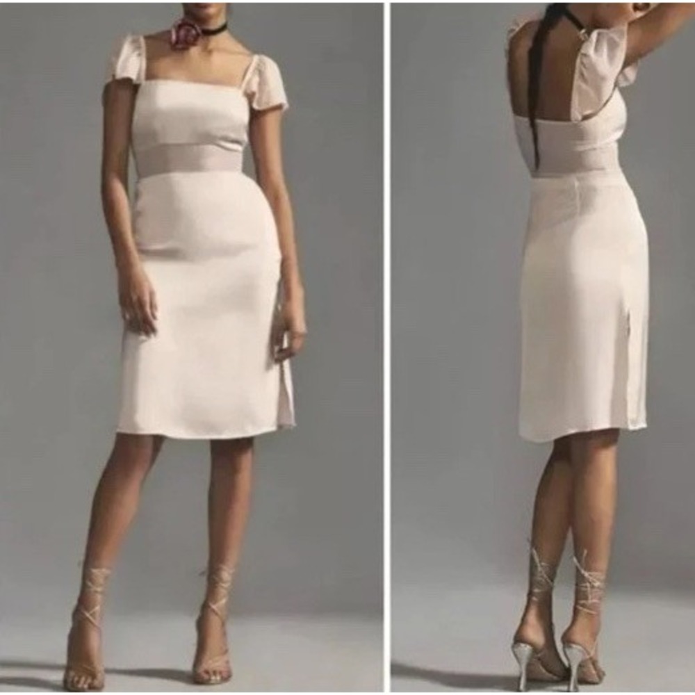 Anthropologie Light Sand Flutter Sleeve Mesh Panel Dress Size 10